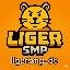 LigerSMP server icon
