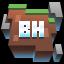 Blockheads server icon