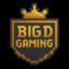 BIGD Gaming server icon