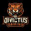 Divictus Gaming server icon