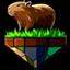 CapybaraCraft server icon