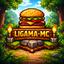 Ligama-MC server icon