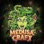 Medusa Craft server icon