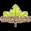One Peace server icon