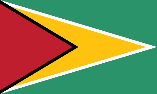 Flag of Guyana
