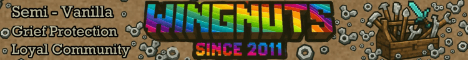 Toolbox Wingnuts Minecraft banner Toolbox Wingnuts Minecraft Minecraft server banner