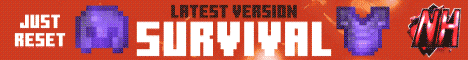 PubsLifesteal banner PubsLifesteal Minecraft server banner