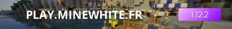 Minewhite banner Minewhite Minecraft server banner