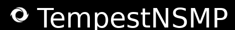 TempestNSMP banner TempestNSMP Minecraft server banner
