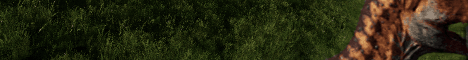 The Dome of City banner The Dome of City Minecraft server banner