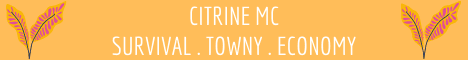 Citrine MC banner Citrine MC Minecraft server banner