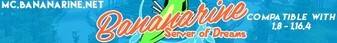 Bananarine banner Bananarine Minecraft server banner