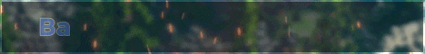 Barnyard Warfare Reloaded banner Barnyard Warfare Reloaded Minecraft server banner