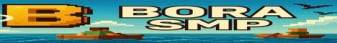 Bora SMP banner Bora SMP Minecraft server banner