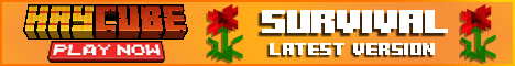 HayCube banner HayCube Minecraft server banner