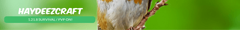 HaydeezCraft banner HaydeezCraft Minecraft server banner