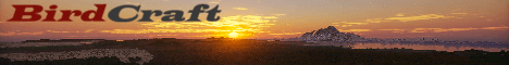 BirdCraft banner BirdCraft Minecraft server banner