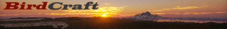 BirdCraft banner BirdCraft Minecraft server banner