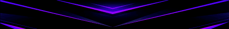 Dolphinable banner Dolphinable Minecraft server banner