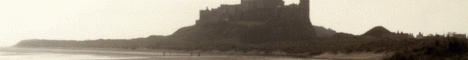 Real Survival banner Real Survival Minecraft server banner