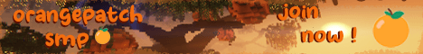 OrangePatch banner OrangePatch Minecraft server banner