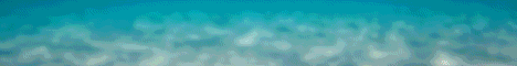 Atlantic Network banner Atlantic Network Minecraft server banner