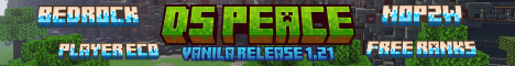 DSPeace banner DSPeace Minecraft server banner