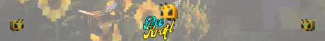 BeeKraft banner BeeKraft Minecraft server banner