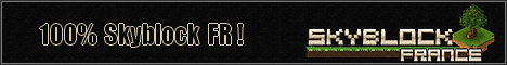 Skyblock-France banner Skyblock-France Minecraft server banner
