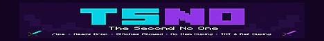 The second no one banner The second no one Minecraft server banner