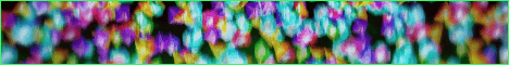 Elama SMP banner Elama SMP Minecraft server banner