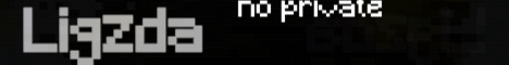 Ligzda banner Ligzda Minecraft server banner