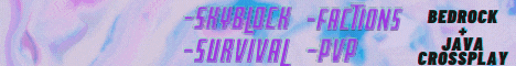 Stonieland Network banner Stonieland Network Minecraft server banner