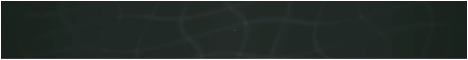 WyvernMC banner WyvernMC Minecraft server banner