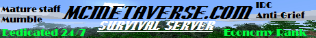 The Metaverse banner The Metaverse Minecraft server banner