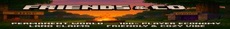 Friends & Co banner Friends & Co Minecraft server banner