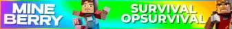MineBerry banner MineBerry Minecraft server banner