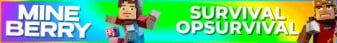 MineBerry banner MineBerry Minecraft server banner