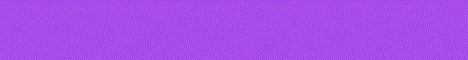 Vivacity banner Vivacity Minecraft server banner