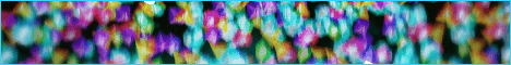 ElytraMC banner ElytraMC Minecraft server banner