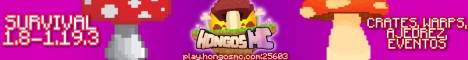 HongosMC banner HongosMC Minecraft server banner