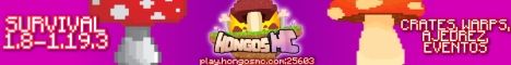 HongosMC banner HongosMC Minecraft server banner