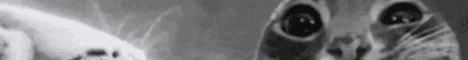MireSwamp banner MireSwamp Minecraft server banner