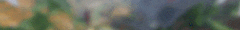 ReallyCraft banner ReallyCraft Minecraft server banner