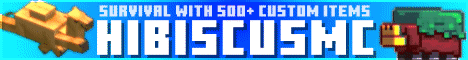 HibiscusMC banner HibiscusMC Minecraft server banner