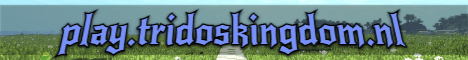 TridosKingdom banner TridosKingdom Minecraft server banner