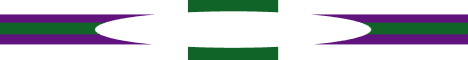 The Lands of Lin banner The Lands of Lin Minecraft server banner