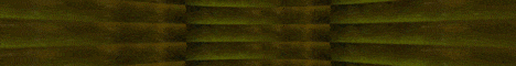 StarHollow banner StarHollow Minecraft server banner