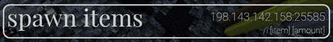 Spawn Items banner Spawn Items Minecraft server banner