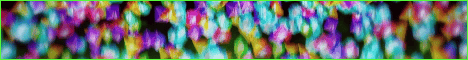 Evergrovesmp banner Evergrovesmp Minecraft server banner